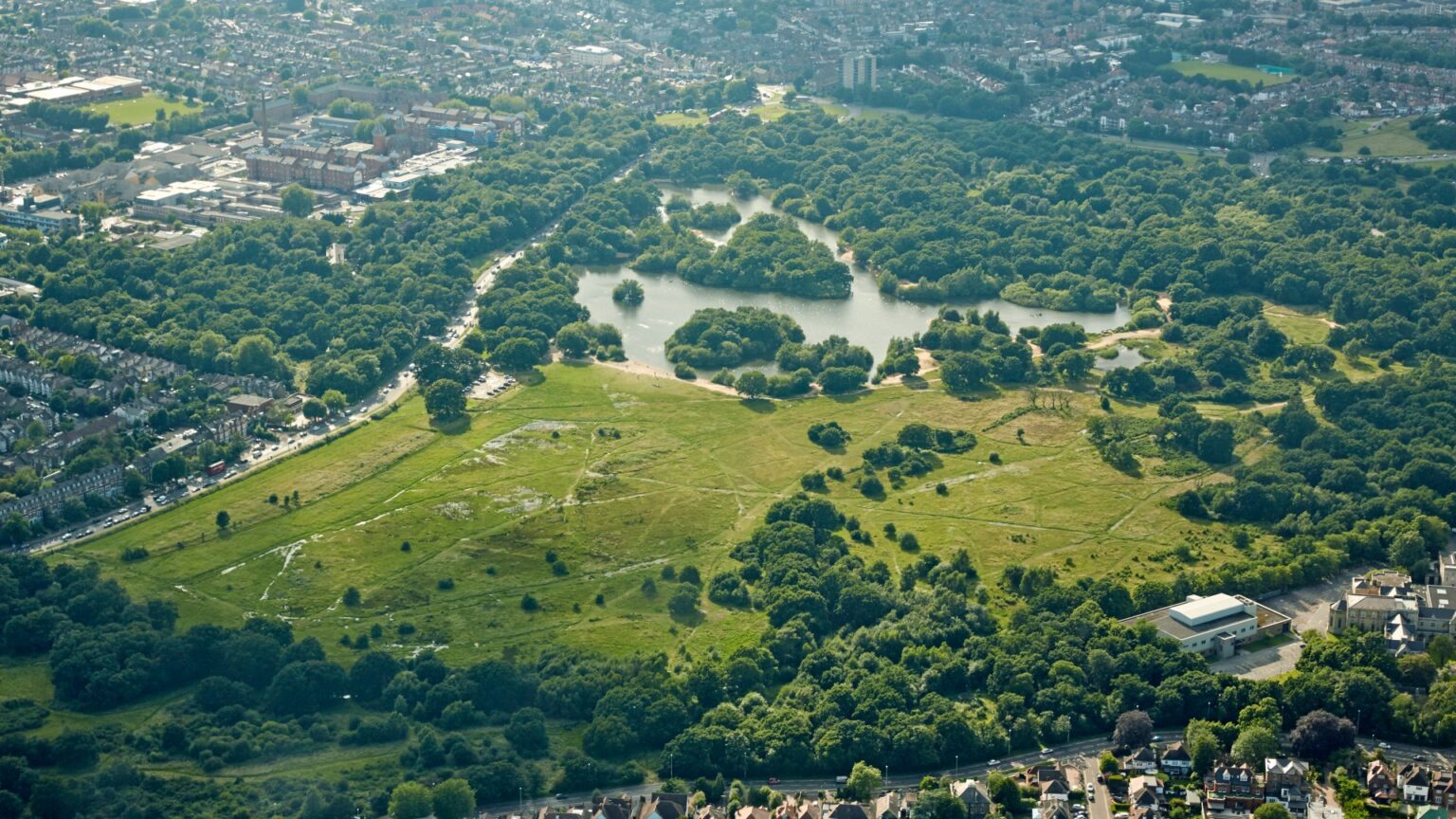 Ancient English forest from struck Netflix series that likewise has fantastic bars neighboring