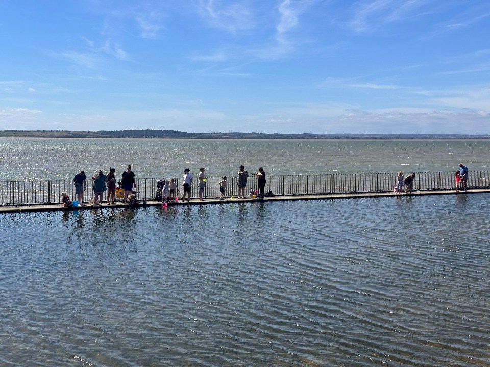 People gathered on a pier over water, with a body of water and distant land in the background under a blue sky.