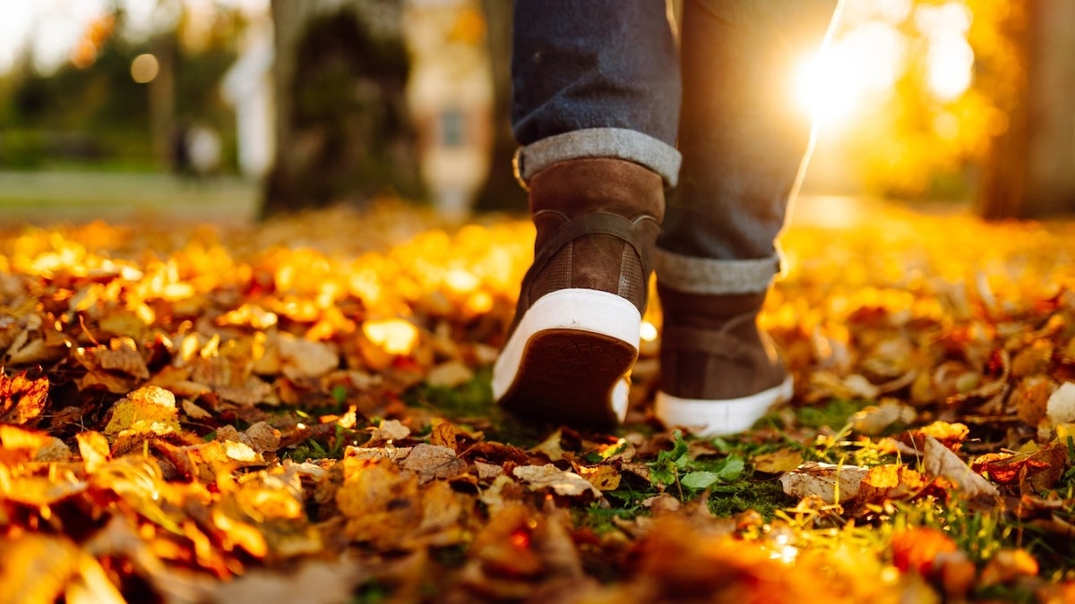 boots walking along a path with bright autumn leaves.