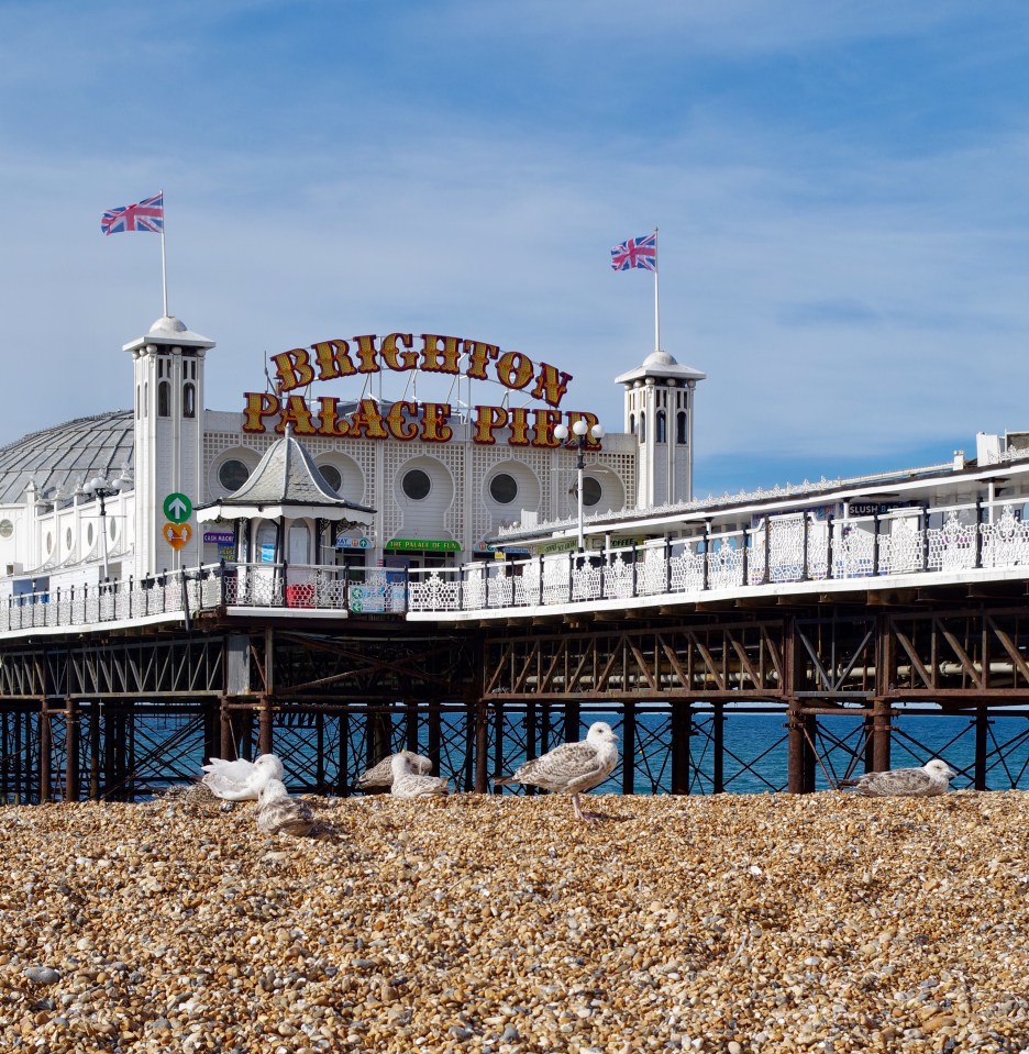 Brighton Palace Pier with seagulls on the pebble beach in the foreground and blue sky above.