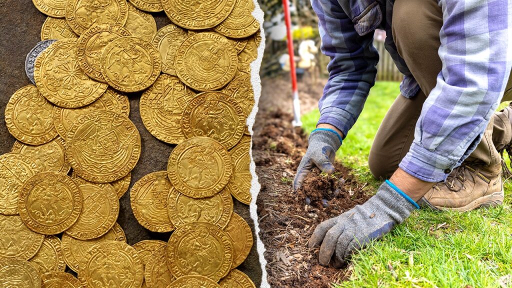 Couple shocked as Tudor-era treasure surfaces beneath their yard backyard