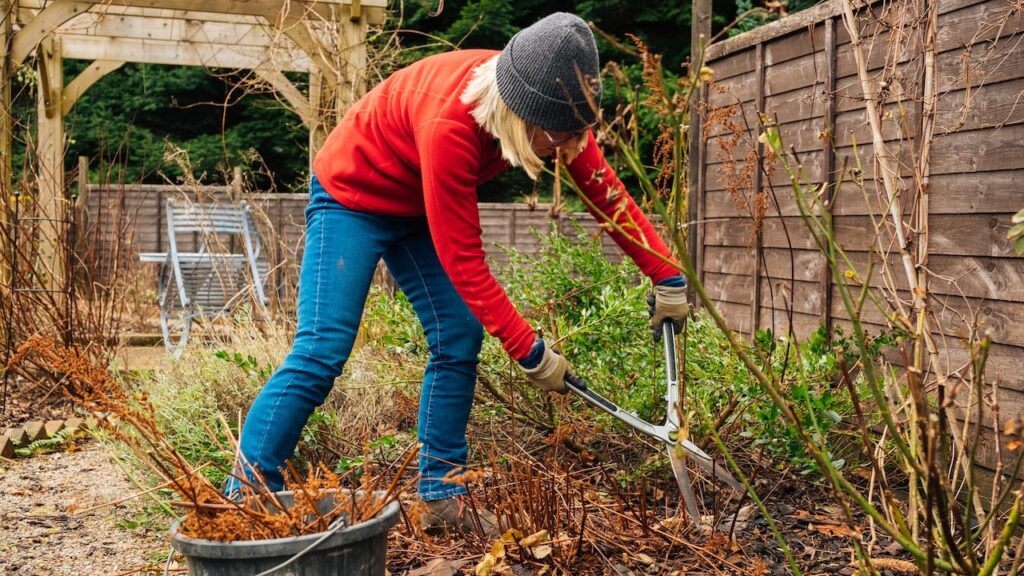 Preparation your garden for winter season with these must-haves