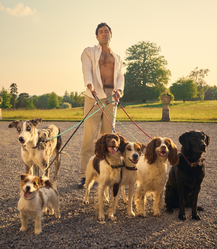 Aidan Turner, as Rufus Sixsmith, walking six dogs on leashes on a gravel path.
