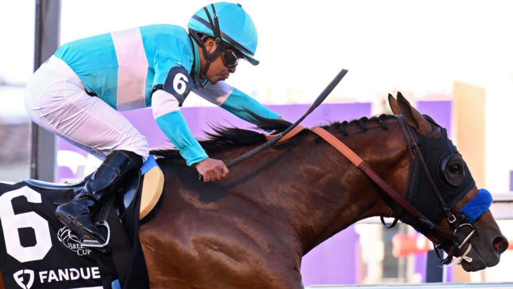 Breeders’ Cup World Championships 2025: How to See the Horse Racing Occasion Online totally free Breeders’ Cup World Championships 2025: How to See the Horse Racing Occasion Online totally free