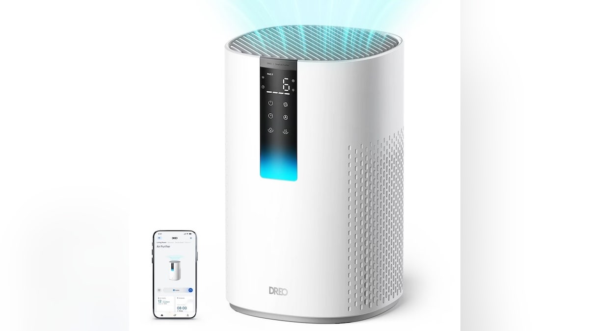 Clear out the air in your whole home with this purifier. 