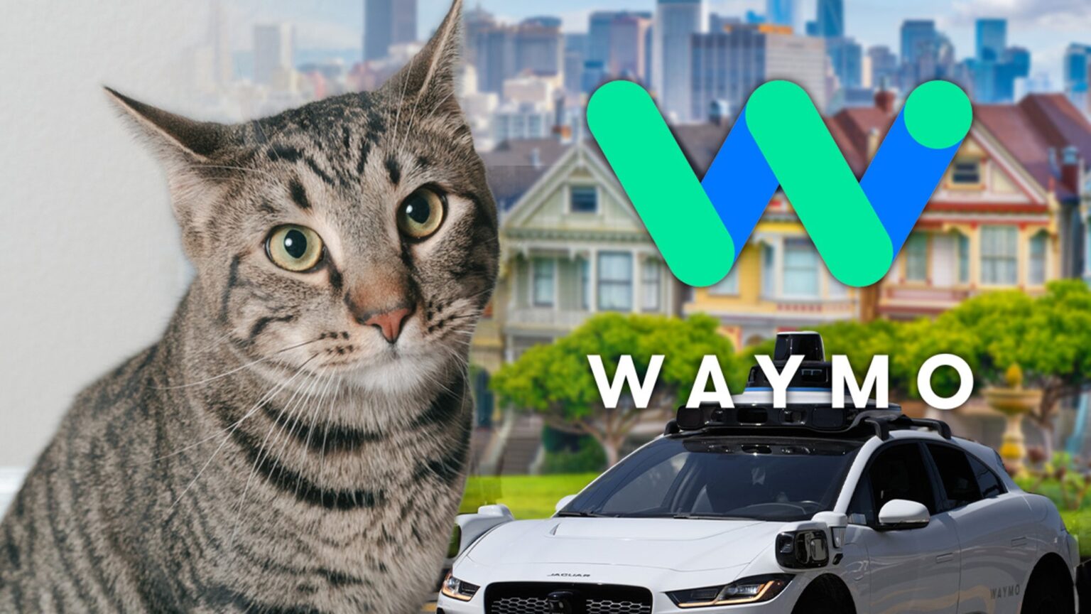 Waymo States Feline Darted Under Self-Driving Cars And Truck Before Fatal San Francisco Crash Waymo States Feline Darted Under Self-Driving Cars And Truck Before Fatal San Francisco Crash