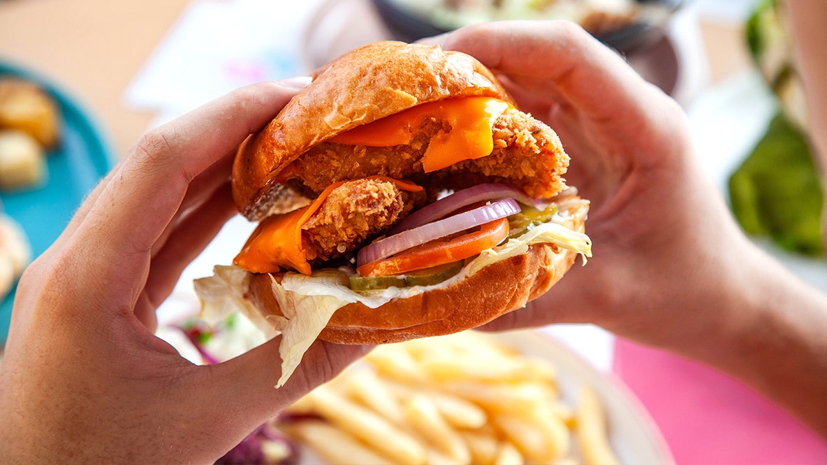 Man holding fried chicken sandwich