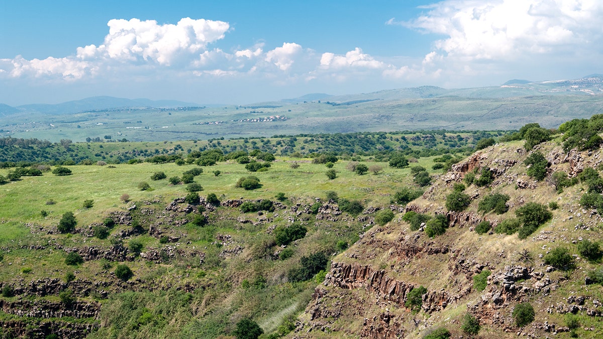 View of Golan Heights valley, trees