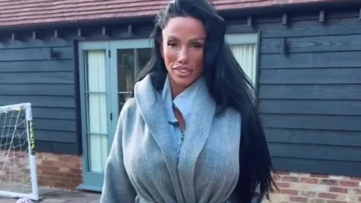 Terrible minute Katie Cost appears to KICK brand-new young puppy in brand-new video