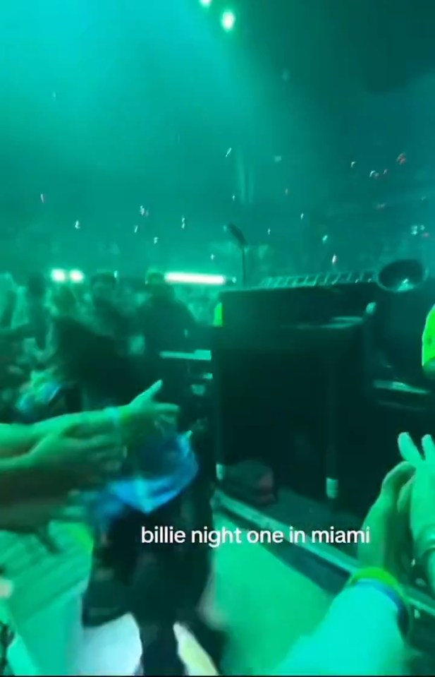 Singer Billie Eilish being pulled to the floor by a fan at a concert in Miami.
