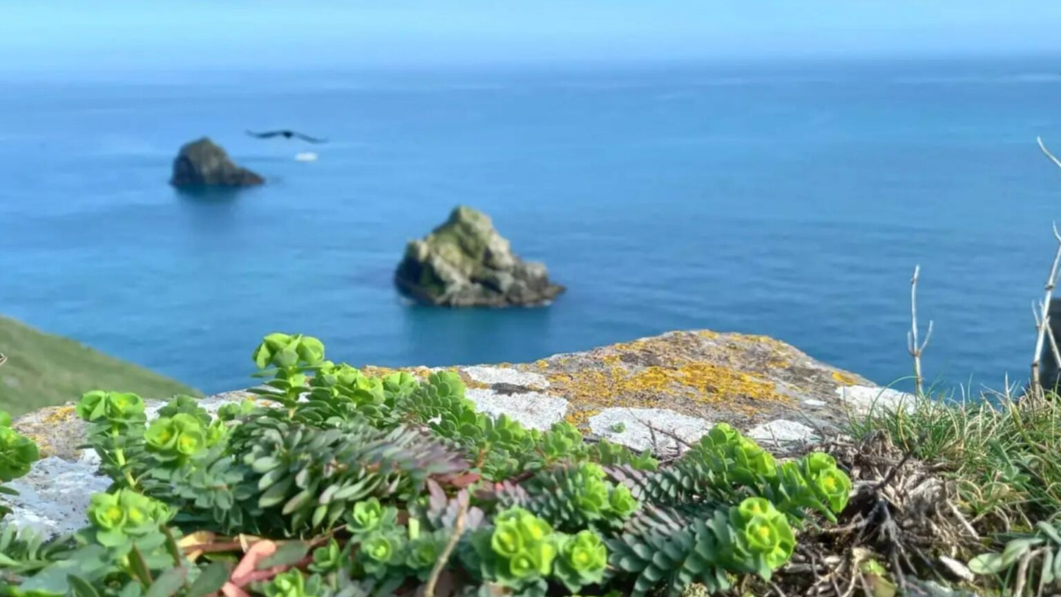 Big blow for English Riviera as trust folds – shutting destinations & occasions Big blow for English Riviera as trust folds – shutting destinations & occasions